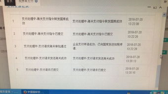 新一代稅費(fèi)電子支付系統(tǒng) 常見(jiàn)問(wèn)題與解決方案匯總